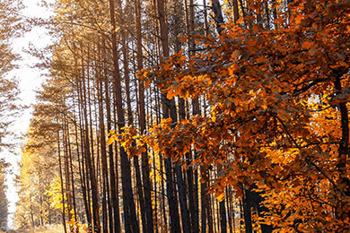 开云下载-英超风暴：尤文惨败之夜，官方名单惊爆内幕！