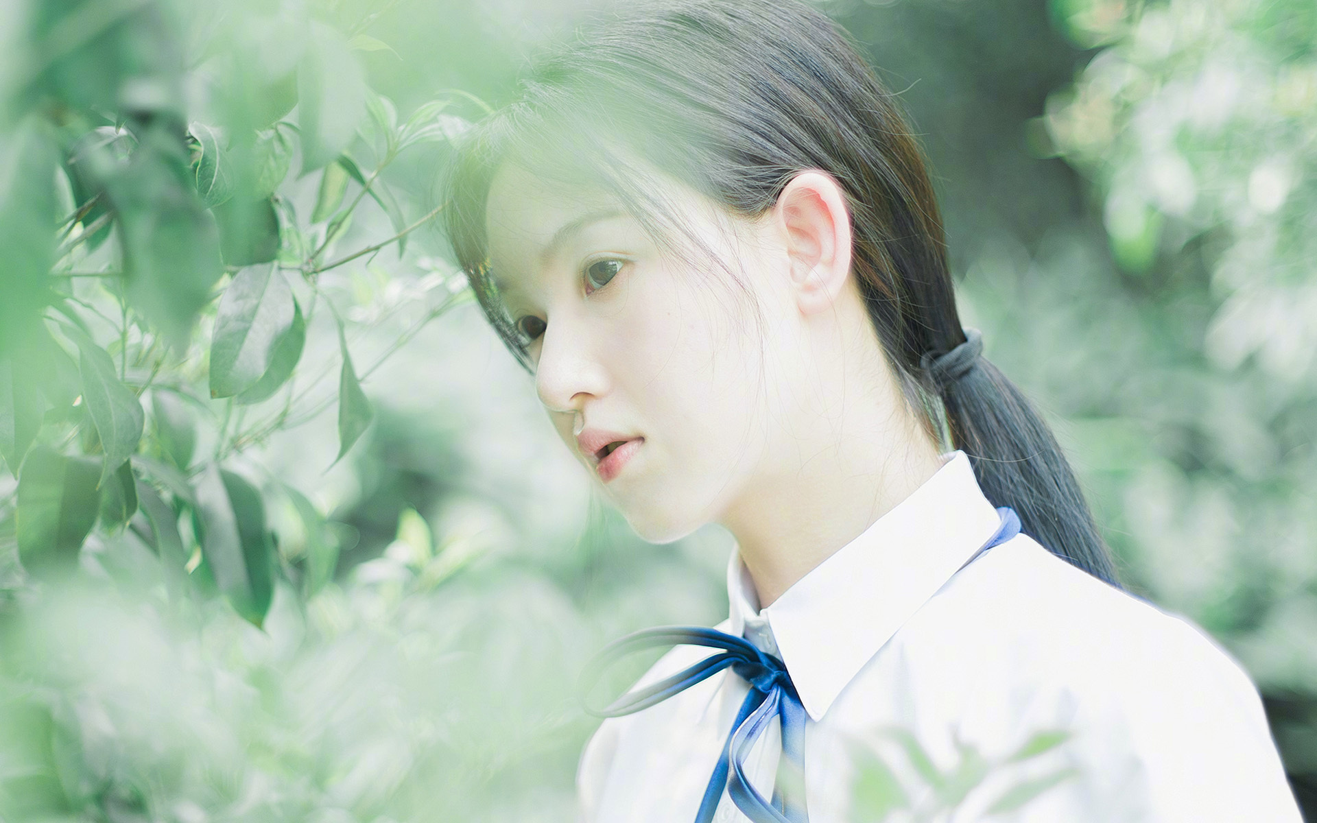 金玟哉铁骑踏碎荷兰梦，曼城血脉压制上演史诗逆转